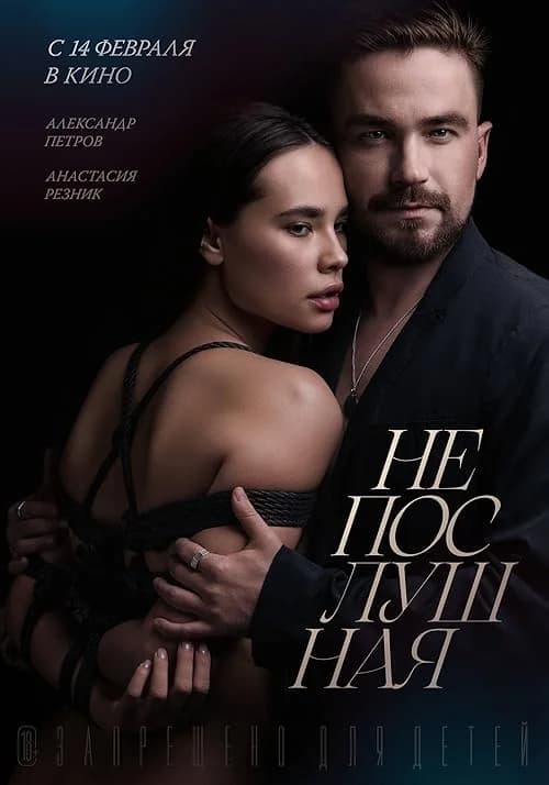 Naughty film posteri